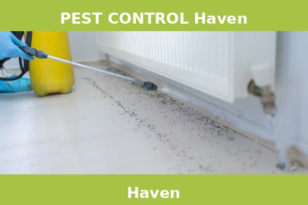 PEST CONTROL Haven